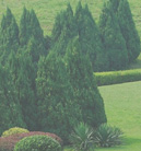 哪个平台安全的网页端ddos