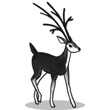 小黑ddos压力测试平台